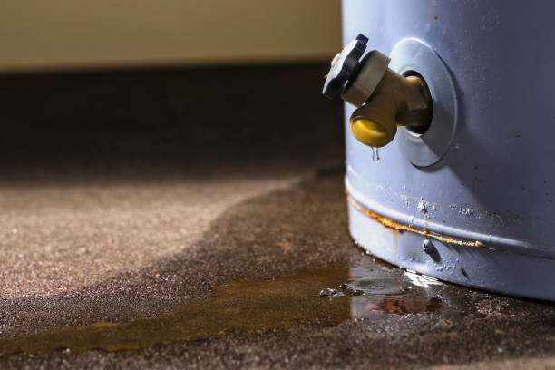 Best 24/7 water damage repair  in Show Low, AZ