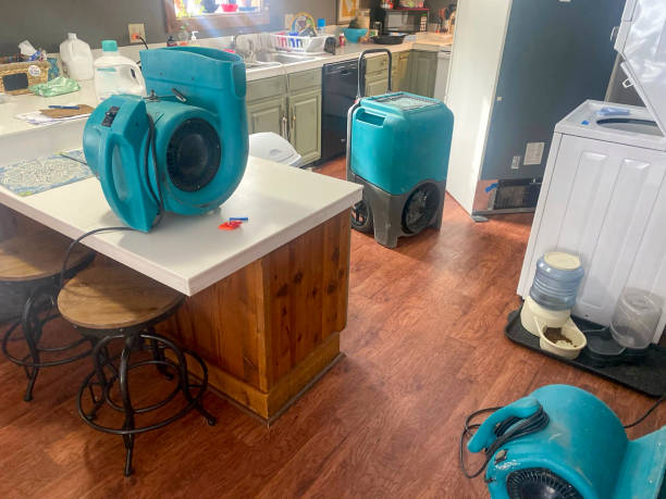 Water damage restoration experts in Show Low, AZ