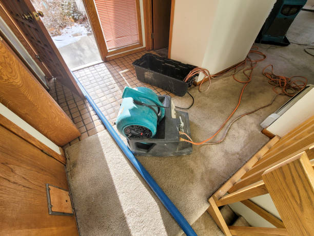 Carpet water damage restoration in Show Low, AZ