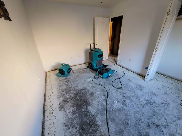 Best Basement water damage restoration  in Show Low, AZ