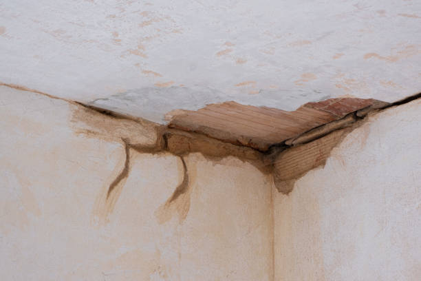 Best Ceiling water damage repair  in Show Low, AZ