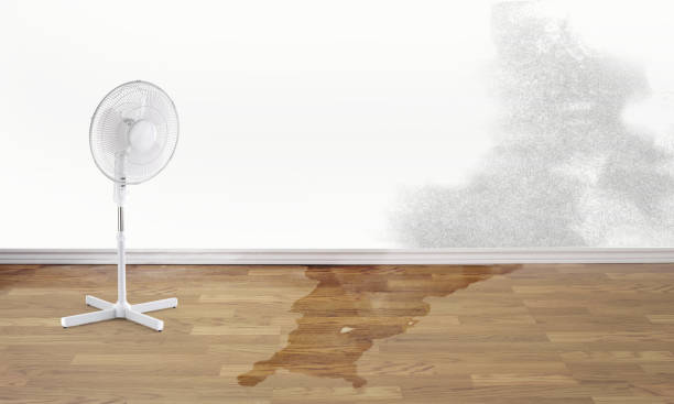 Best Flooded house restoration  in Show Low, AZ