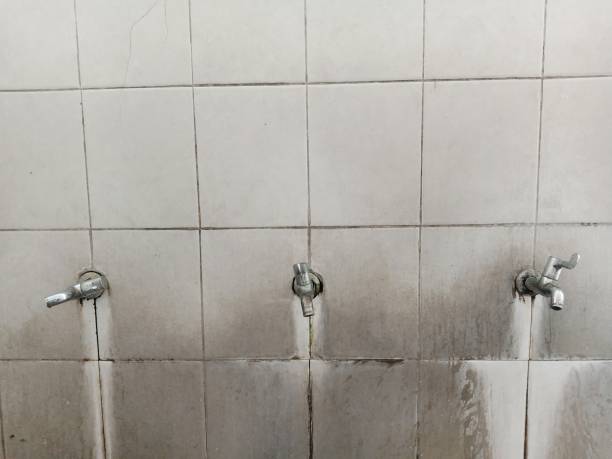 Best Emergency water damage restoration  in Show Low, AZ