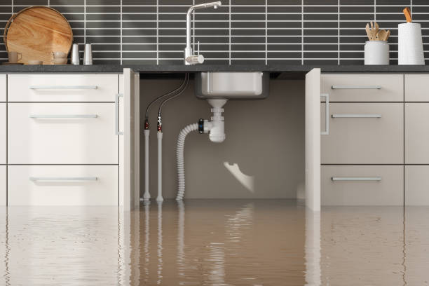 Best Sewage cleanup and water damage restoration  in Show Low, AZ