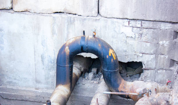 Best Professional water damage repair  in Show Low, AZ