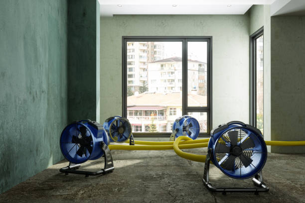 Professional Water damage restoration in Show Low, AZ
