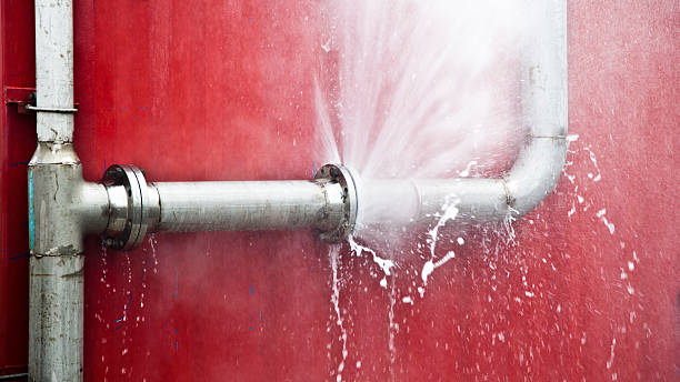 Best 24-hour water damage restoration  in Show Low, AZ