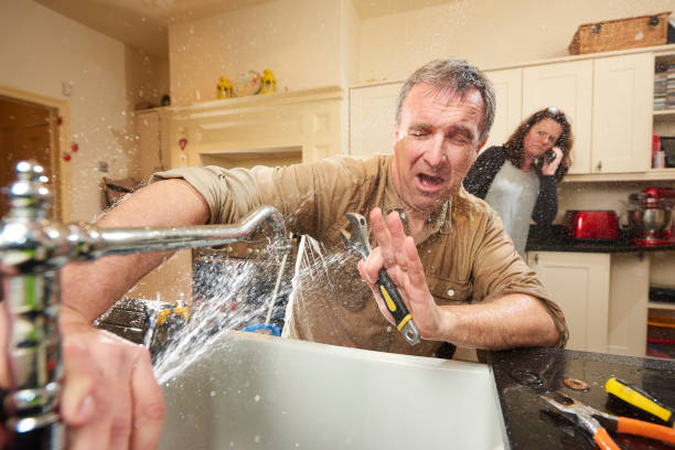 Best Water damage restoration process  in Show Low, AZ